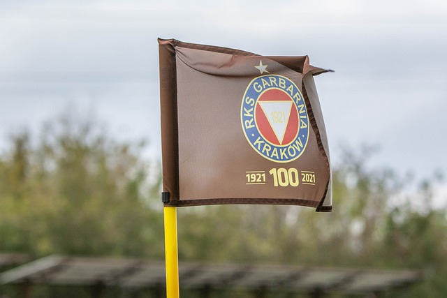 摩纳哥仍对 摩纳哥仍对