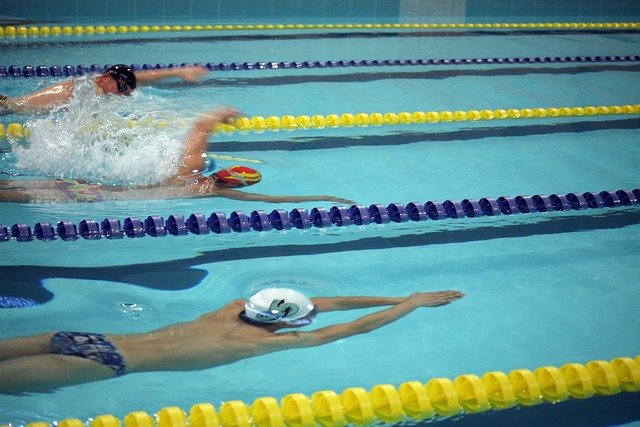 文化交流实 文化交流实