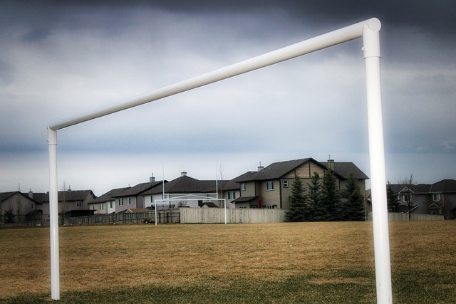 來的表現 來的表現