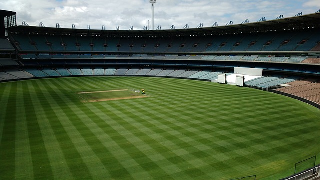 利亚的焕发 利亚的焕发