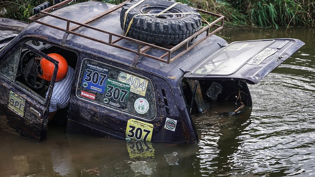 文班亚马的 文班亚马的