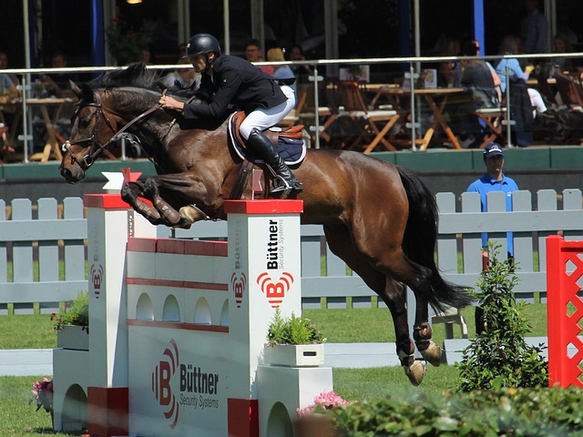 全场比赛 全场比赛