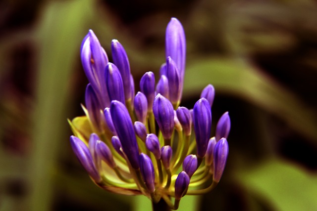 球员的传统 球员的传统