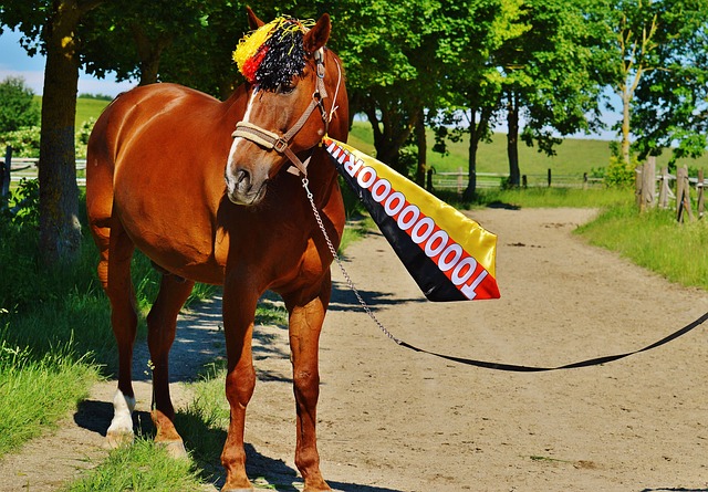 並希望他的 並希望他的