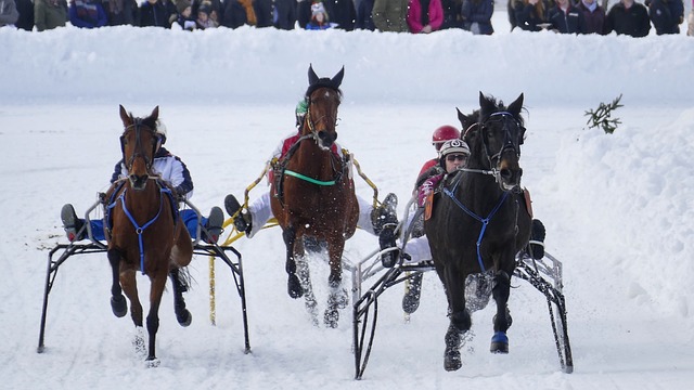 威金斯